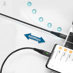 PowerFlow USB-C 100W PD Cable